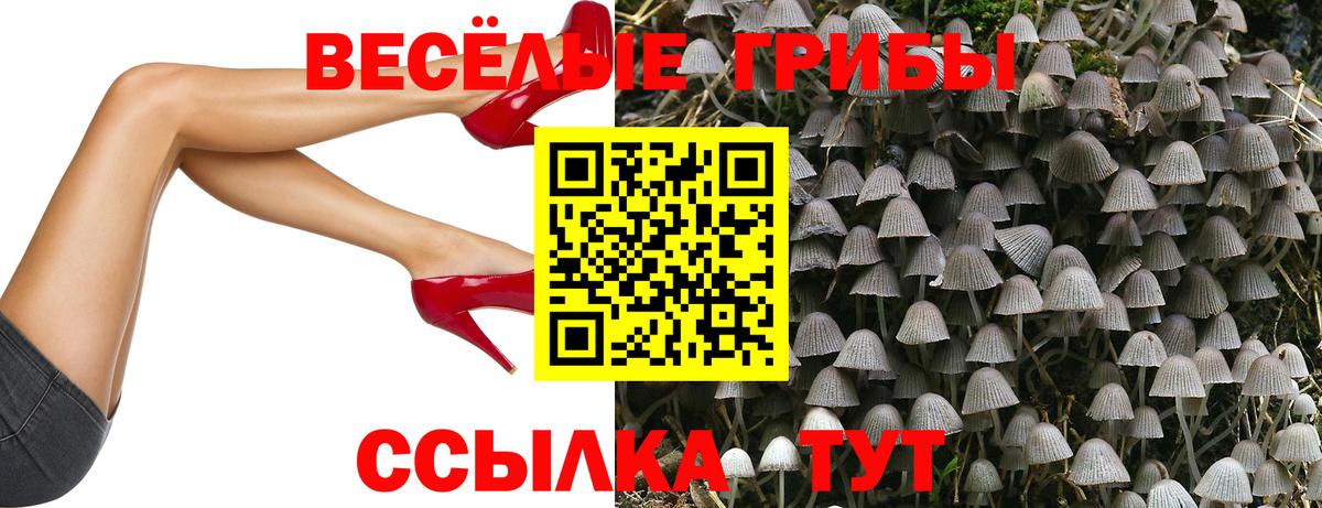 Славянск-на-Кубани  Галлюциногенные грибы Magic Shrooms  Вход с VPN 
