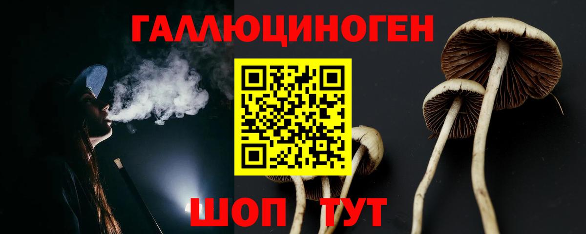 Псилоцибиновые грибы GOLDEN TEACHER Славянск-на-Кубани